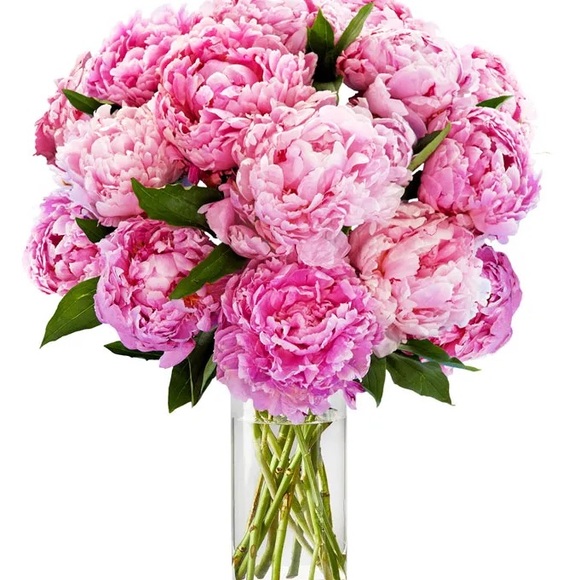 stylestealsmb